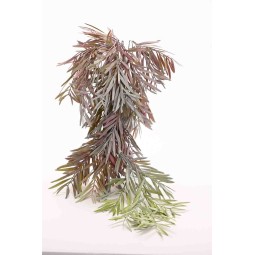 Bambù in mazzo cadente - 82 Cm / Bianco-verde-rosso sfumato