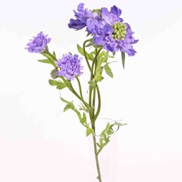 Scabiosa in ramo da 60 Cm in diversi colori - Viola