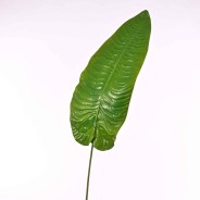 Strelizia in foglia - 129 Cm / Verde