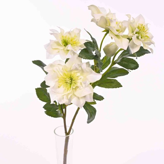 Helleboro in ramo con 6 fiori - 62 Cm  Bianco