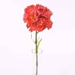 Garofano Chartouce CM. 53 in vari colori - Pesca