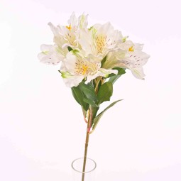 Alstroemeria in ramo con 5 fiori cm. 60 in vari colori - Bianco
