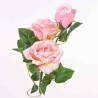 Rosa in ramo con bocciolo - 60 Cm  - Rosa