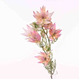 Lecodendro serruria ramificato a stelo 66 cm in diversi colori - Rosa