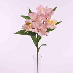 Alstromeria in ramo con 7 fiori  - 78 Cm  in diversi colori - Rosa