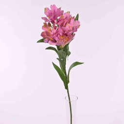 Alstromeria in ramo con 7 fiori  - 78 Cm  in diversi colori - Fucsia