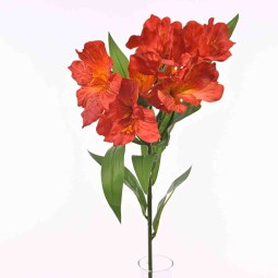 Alstromeria in ramo con 7 fiori  - 78 Cm  in diversi colori - Rosso