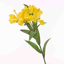 Alstromeria in ramo con 7 fiori  - 78 Cm  in diversi colori - Giallo