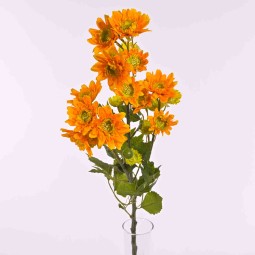 Margherite in mazzo con 3 steli ramificati in vari colori - Arancione