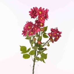 Margherite in mazzo con 3 steli ramificati in vari colori - Rosso