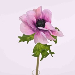 Anemone in stelo singolo 46 cm. in vari colori - Lilla