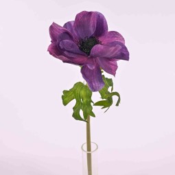 Anemone in stelo singolo 46 cm. in vari colori - Viola