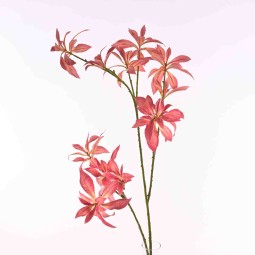 Schefflera in ramo  - 120 Cm in vari colori - Corallo