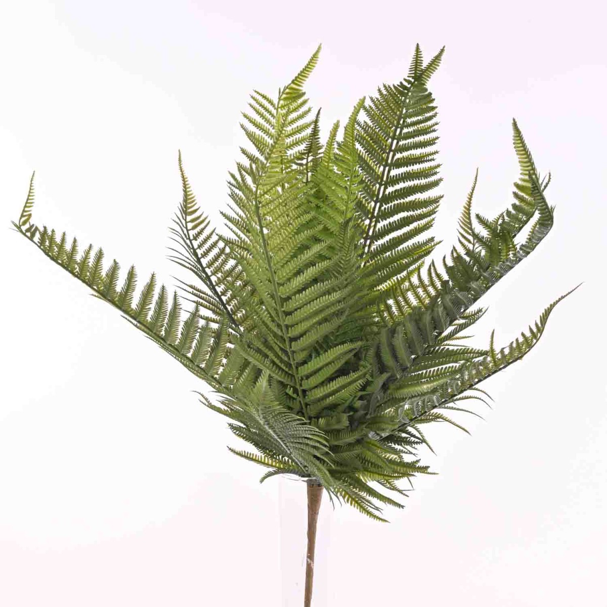 Felce in mazzo - 52 Cm / Verde