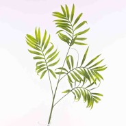 Chico in ramo - 86 Cm / Verde