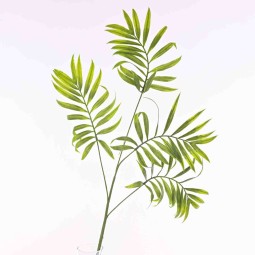 Chico in ramo - 86 Cm / Verde