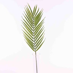 Foglia di Palma in ramo - 75 CM - Verde