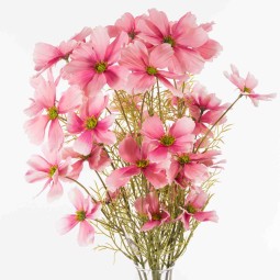 Cosmea in mazzo - 52 Cm / Rosa