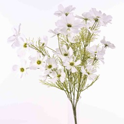 Cosmea in mazzo - 52 Cm / Bianco