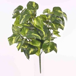 Mazzo di Photos - 38 Cm  con 9 steli - verde