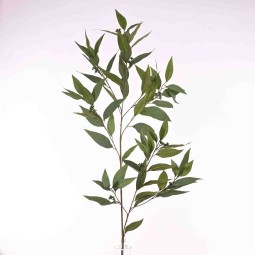 Eucalipto in ramo - 126 Cm  con 4 ramificazioni