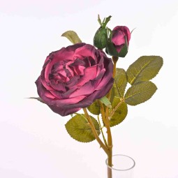 Rosa Cabbage corta ramificata cm. 50 in vari colori -  Fucsia