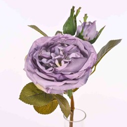 Rosa Cabbage corta ramificata cm. 50 in vari colori - Lavanda