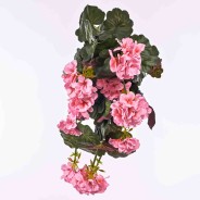 Pelargonia in mazzo da cm. 55 in due colori - Rosa