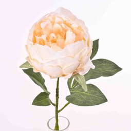 Peonia singola cm. 52 in vari colori -  Crema