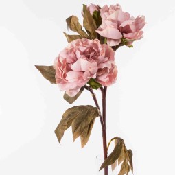 PEONIA Stelo x3 - 46 Cm  in vari colori -  Rosa