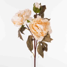 PEONIA Stelo x3 - 46 Cm  in vari colori - Crema