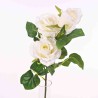 Rosa in ramo con bocciolo - 60 Cm  - Bianco