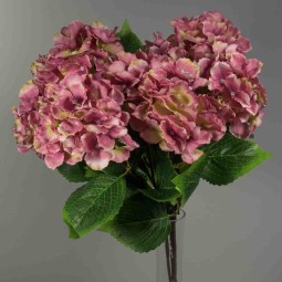 Ortensie in mazzo - 50 Cm in vari colori - Rosa