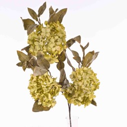 Ortensia in ramo da cm. 85 in due colori - Verde