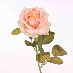 Rosa in ramo - 58 Cm in vari colori - Cipria