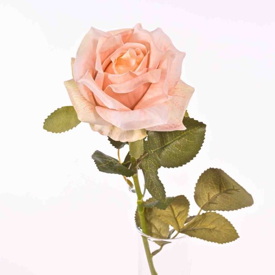 Rosa in ramo - 58 Cm in vari colori - Cipria