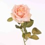 Rosa in ramo - 58 Cm in vari colori - Cipria