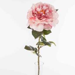 Rosa singola - 77 CM in diversi colori -Rosa