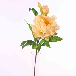 Peonia a Stelo con 2 fiori - 66 Cm  in vari colori - Pesca