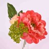 Peonia in pick da 20 cm con infiorescenza e bocciolo in vari colori  -Corallo