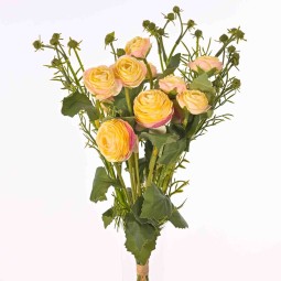 Mazzo di Ranuncoli gialli e steli con boccioli