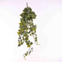 Edera in mazzo cadente - 105 Cm / Verde