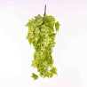Edera in mazzo cadente - 100 Cm / Verde brillante