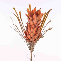 Protea in stela da 70 cm in due colori - Arancione