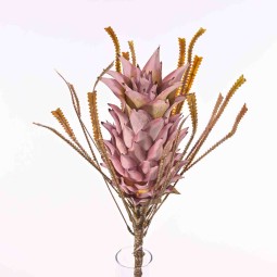 Protea in stela da 70 cm in due colori - Rosa