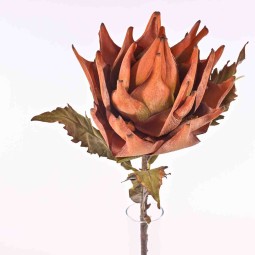 PROTEA  KING - 72 Cm disponibile in due colori - Arancione