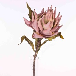 PROTEA  KING - 72 Cm disponibile in due colori - Rosa