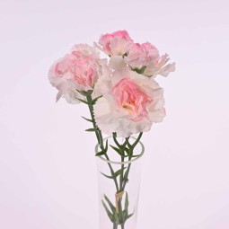 Garofanino in mazzo - 30 CM in vari colori - Rosa