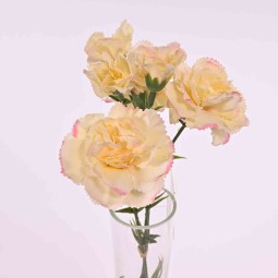 Garofanino in mazzo - 30 CM in vari colori - Crema