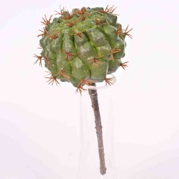 Cactus in pick - 18 Cm verde